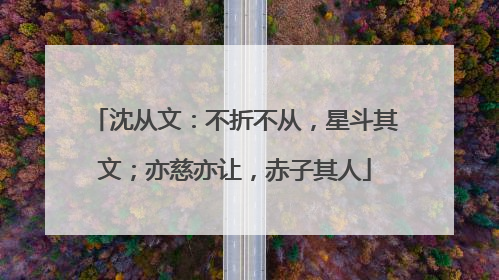 沈从文：不折不从，星斗其文；亦慈亦让，赤子其人