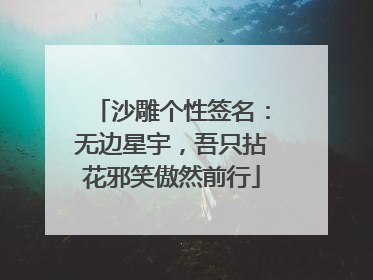 沙雕个性签名：无边星宇，吾只拈花邪笑傲然前行