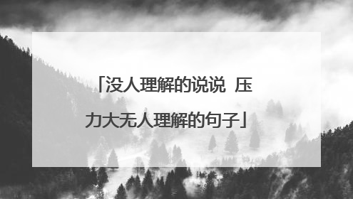 没人理解的说说 压力大无人理解的句子