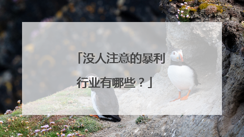 没人注意的暴利行业有哪些?