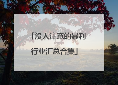 没人注意的暴利行业汇总合集