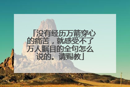 没有经历万箭穿心的痛苦,就感受不了万人瞩目的全句怎么说的。请赐教