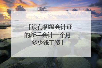 没有初级会计证的新手会计一个月多少钱工资