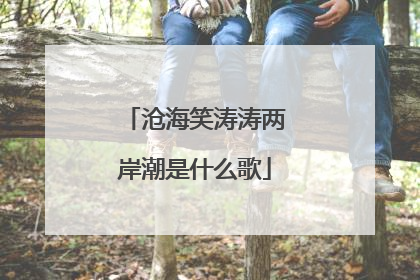 沧海笑涛涛两岸潮是什么歌