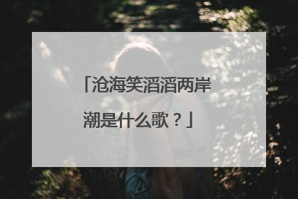 沧海笑滔滔两岸潮是什么歌?