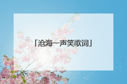 沧海一声笑歌词