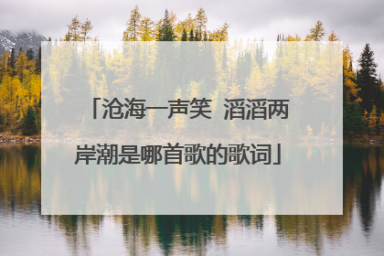 沧海一声笑 滔滔两岸潮是哪首歌的歌词