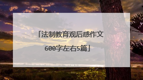 法制教育观后感作文600字左右5篇