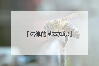 法律的基本知识