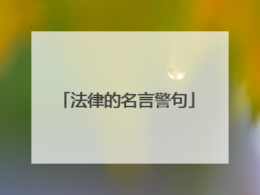 法律的名言警句