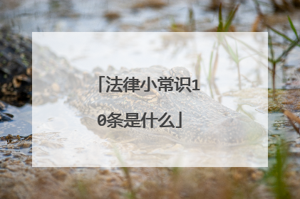 法律小常识10条是什么