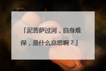 泥菩萨过河,自身难保,是什么意思啊?