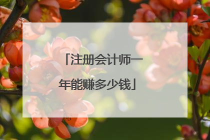 注册会计师一年能赚多少钱