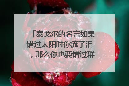 泰戈尔的名言如果错过太阳时你流了泪，那么你也要错过群星了的解释