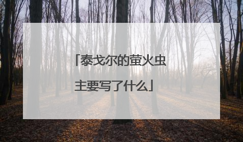 泰戈尔的萤火虫主要写了什么