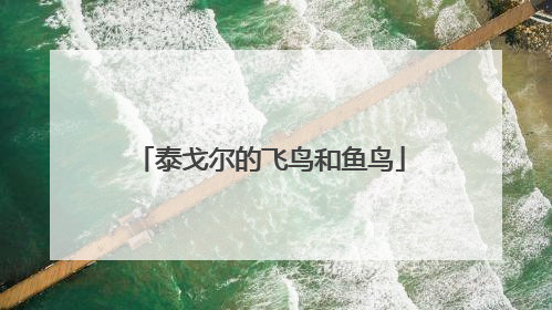泰戈尔的飞鸟和鱼鸟