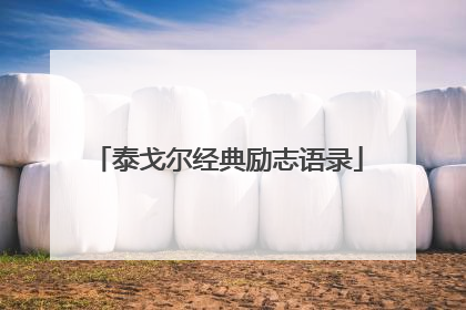 泰戈尔经典励志语录