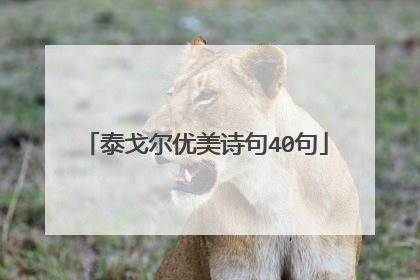 泰戈尔优美诗句40句