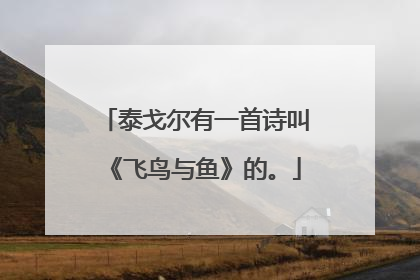 泰戈尔有一首诗叫《飞鸟与鱼》的。