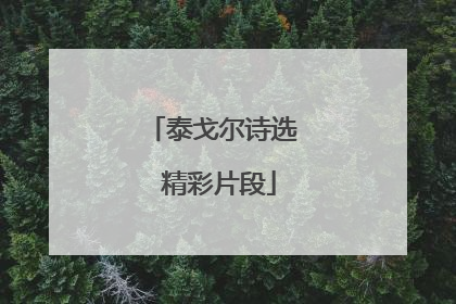 泰戈尔诗选 精彩片段