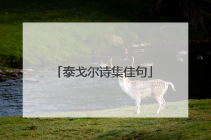 泰戈尔诗集佳句