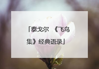 泰戈尔 《飞鸟集》经典语录