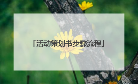 活动策划书步骤流程