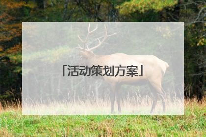 活动策划方案