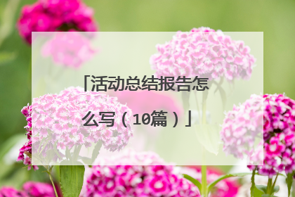 活动总结报告怎么写(10篇)