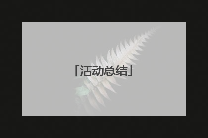 活动总结