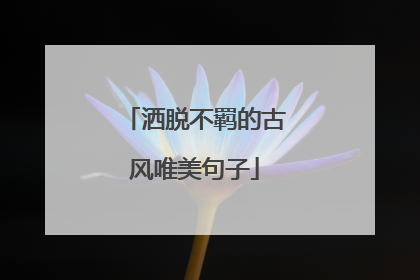 洒脱不羁的古风唯美句子