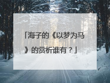 海子的《以梦为马》的赏析谁有？