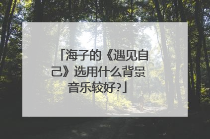 海子的《遇见自己》选用什么背景音乐较好?