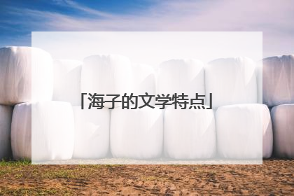 海子的文学特点