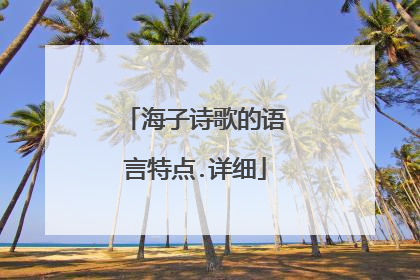 海子诗歌的语言特点.详细