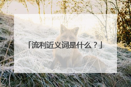 流利近义词是什么?