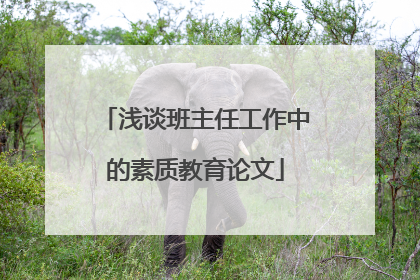 浅谈班主任工作中的素质教育论文