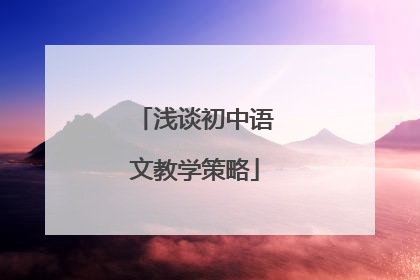 浅谈初中语文教学策略