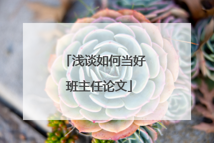 浅谈如何当好班主任论文