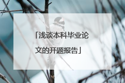 浅谈本科毕业论文的开题报告
