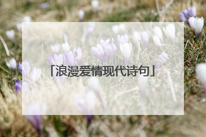 浪漫爱情现代诗句
