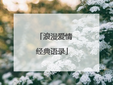 浪漫爱情经典语录