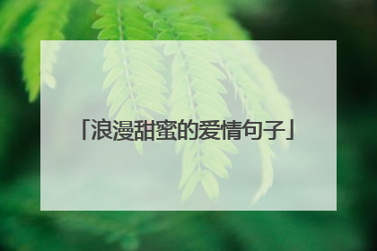 浪漫甜蜜的爱情句子