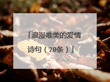 浪漫唯美的爱情诗句(70条)