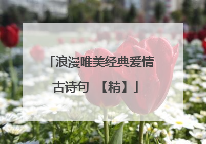 浪漫唯美经典爱情古诗句 【精】