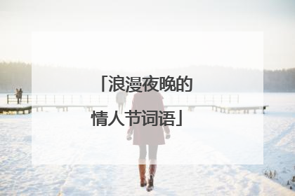 浪漫夜晚的情人节词语