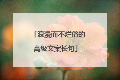 浪漫而不烂俗的高级文案长句