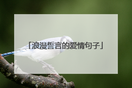 浪漫誓言的爱情句子
