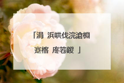 涓�浜哄伐浣滄棩蹇楁�庝箞鍐�