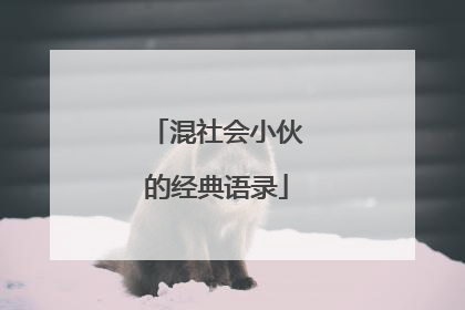 混社会小伙的经典语录